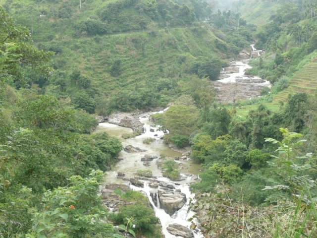 umaoya